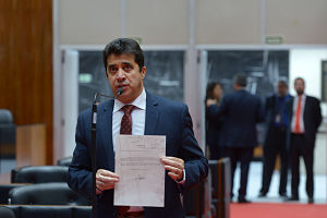1181333 opt